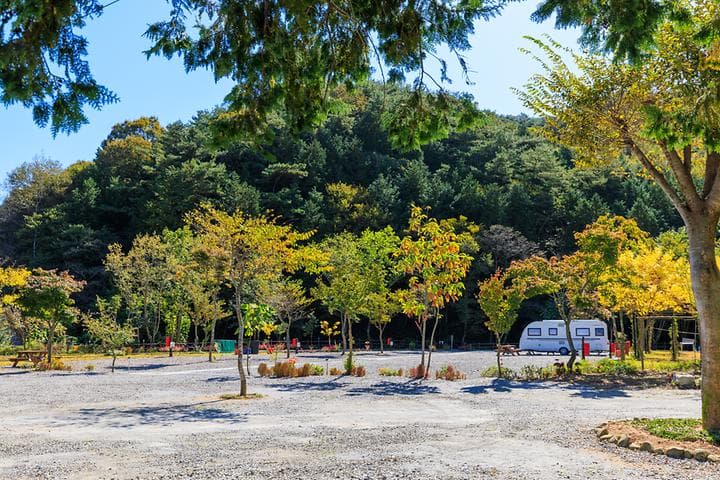 마실야영장 캠핑장 · GoCamping 제공