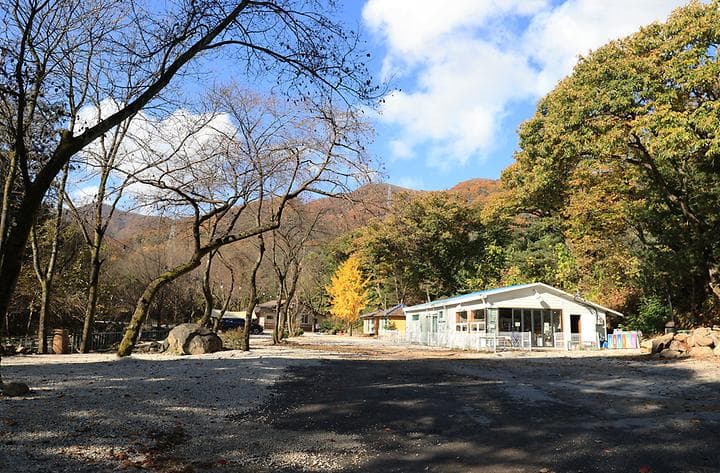딥포레스트캠핑장 캠핑장 · GoCamping 제공