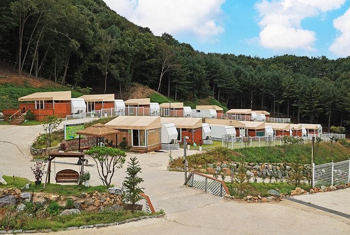 월송리캠프 캠핑장 · GoCamping 제공