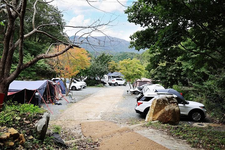 복골캠핑장 캠핑장 · GoCamping 제공
