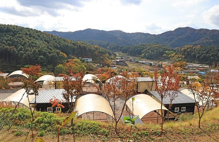 금동휴양림캠프2 캠핑장 · GoCamping 제공