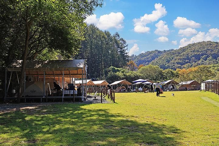 캠핑중DOG 캠핑장 · GoCamping 제공
