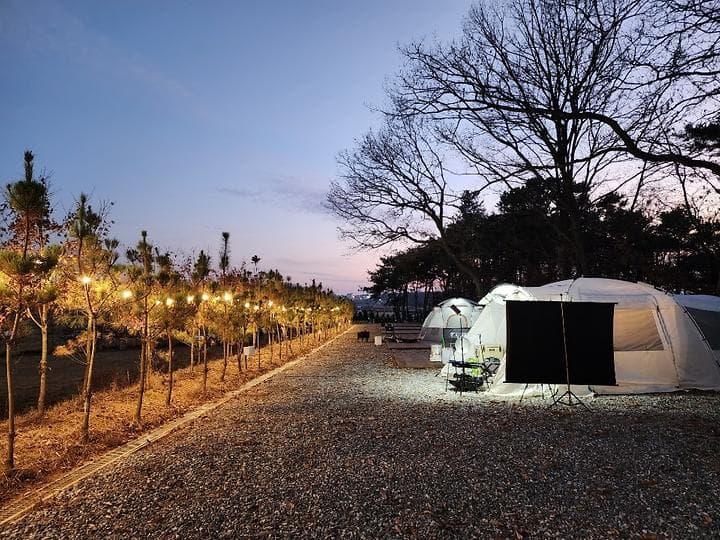 낭만팩토리 캠핑장 · GoCamping 제공
