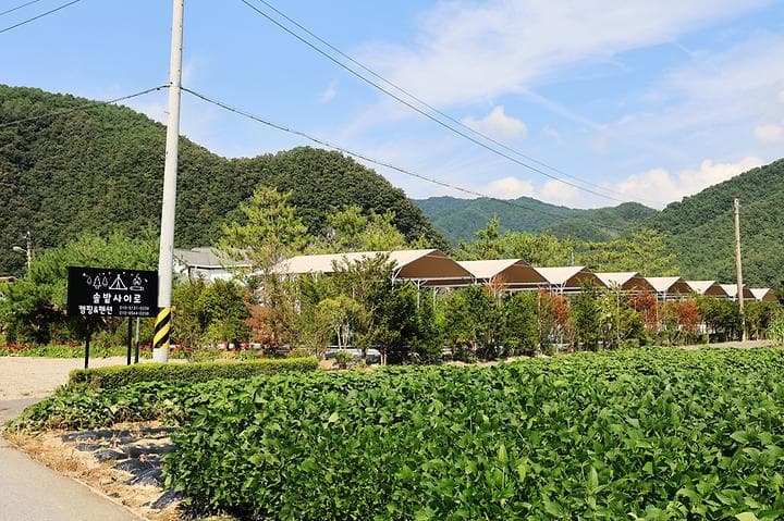 올캠프(ALL camp) 캠핑장 · GoCamping 제공