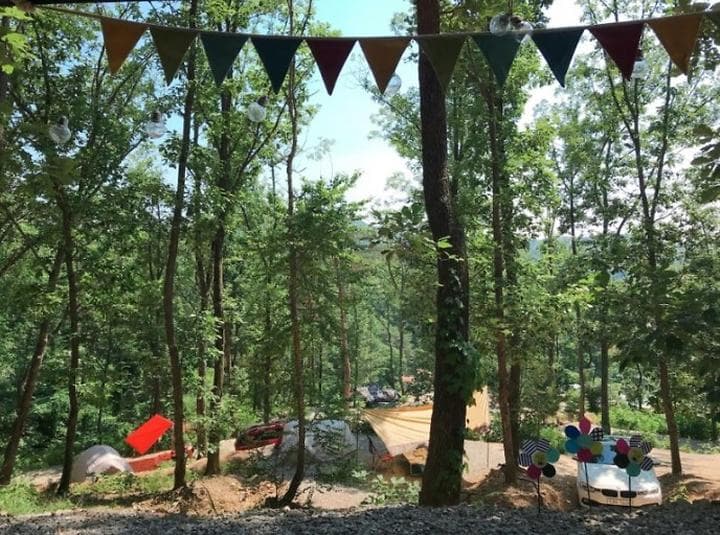 춘천 더숲 캠핑장 캠핑장 · GoCamping 제공