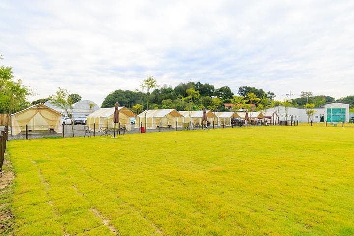 잭슨글램핑 캠핑장 · GoCamping 제공