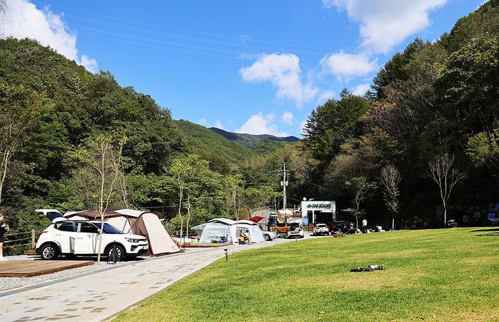 캠프 인더숲 캠핑장 · GoCamping 제공