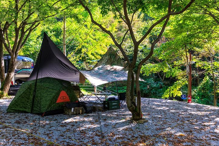 옥당걸숲속관광농원 캠핑장 · GoCamping 제공