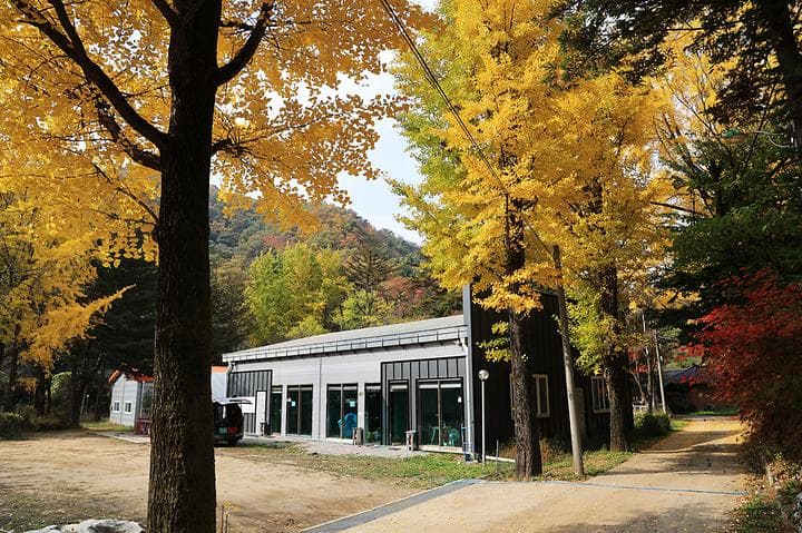 일영Star캠핑장 캠핑장 · GoCamping 제공