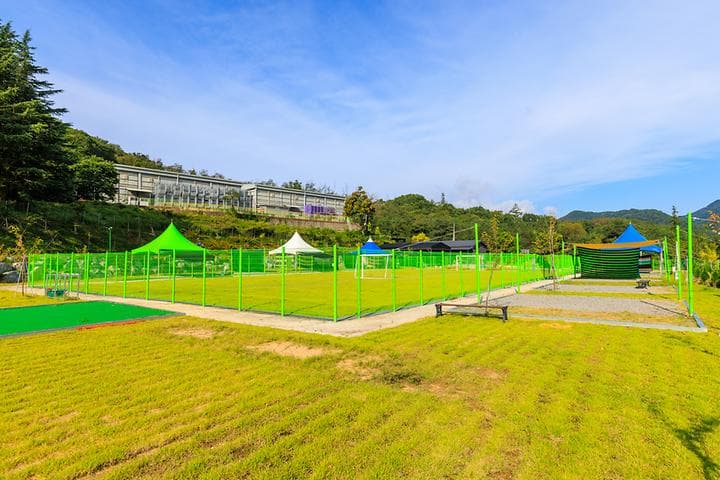 대양 야영장 캠핑장 · GoCamping 제공