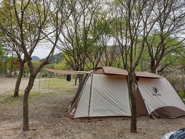 타닥타닥캠핑장 캠핑장 · GoCamping 제공