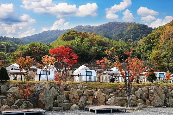 스토리숲(story숲) 캠핑장 · GoCamping 제공