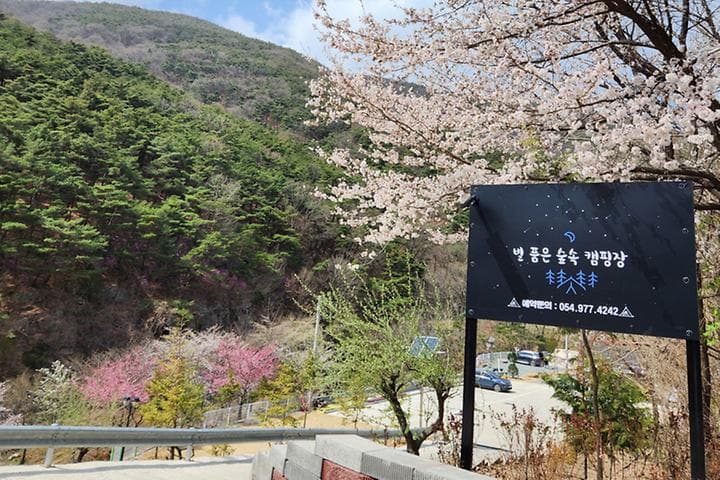 별품은 숲속 캠핑장 캠핑장 · GoCamping 제공