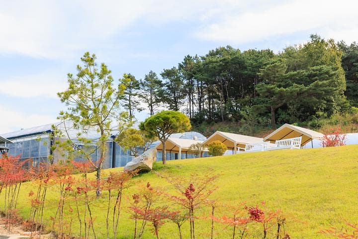 세제골농원 숲속야영장 캠핑장 · GoCamping 제공