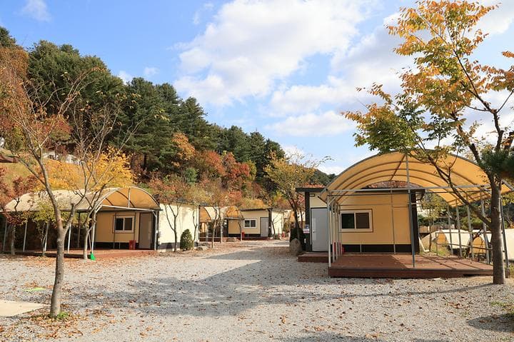 금동휴양림캠프1 캠핑장 · GoCamping 제공