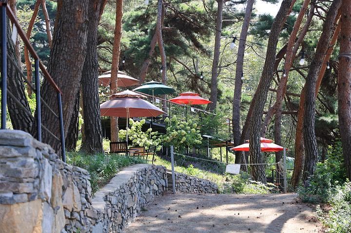청춘별곡 캠핑장 · GoCamping 제공