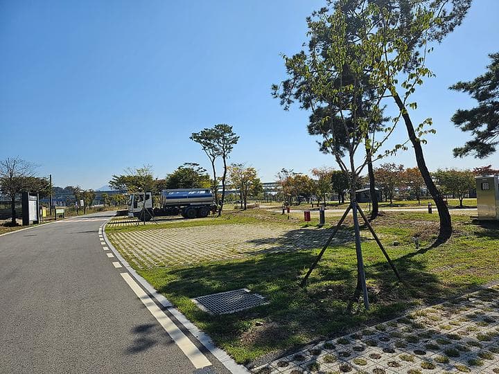 충주 목계솔밭 캠핑장 캠핑장 · GoCamping 제공