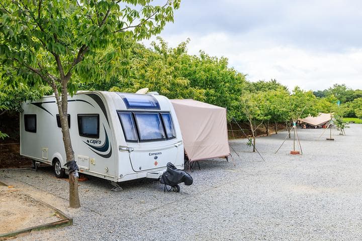 트리팜 관광농원 캠핑장 · GoCamping 제공