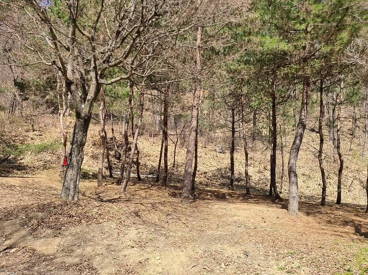 홍천에코밸리 캠핑장 캠핑장 · GoCamping 제공