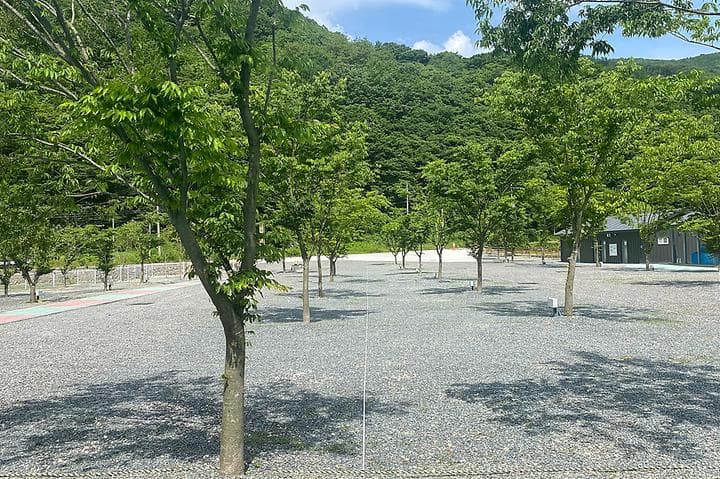 별빛 은하수 캠핑장 캠핑장 · GoCamping 제공