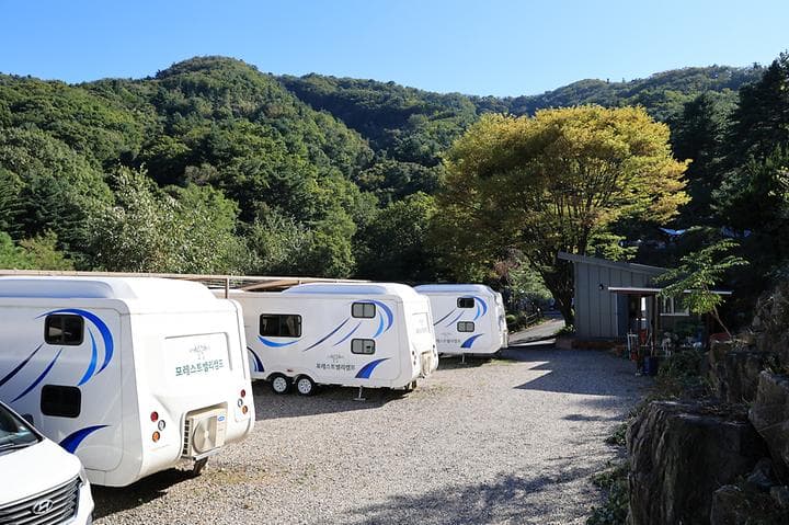 포레스트벨리캠프 캠핑장 · GoCamping 제공