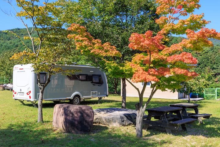 토함산 마이웨이 야영장 캠핑장 · GoCamping 제공