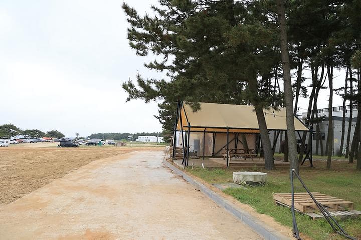 청포대솔밭야영장 캠핑장 · GoCamping 제공