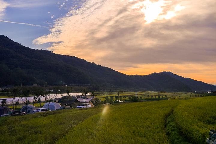 다시캠핑장위드펫 캠핑장 · GoCamping 제공