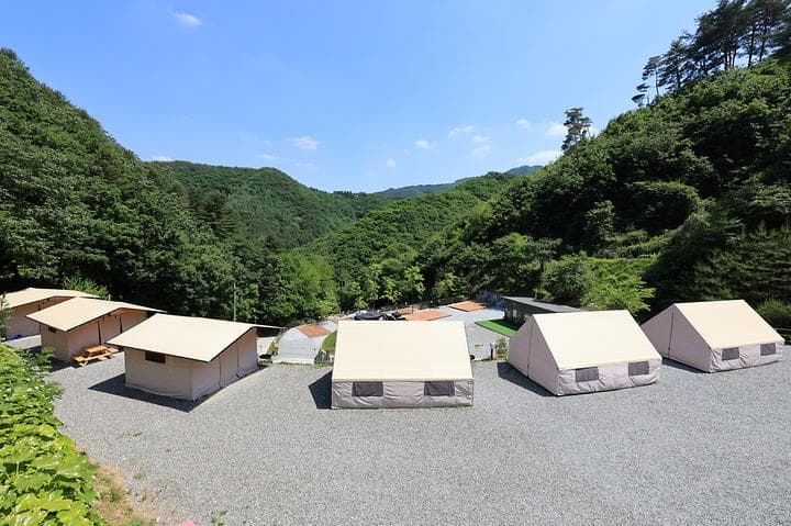 비발디캠핑파크 미루나무점 캠핑장 · GoCamping 제공