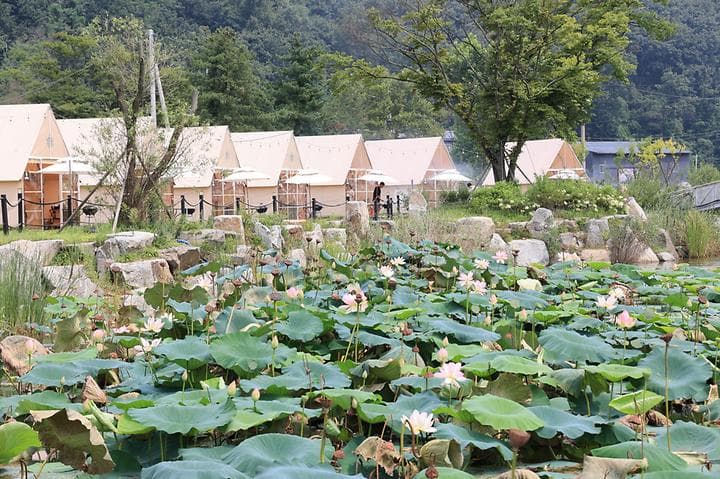 (주)더캠핑야미 캠핑장 · GoCamping 제공