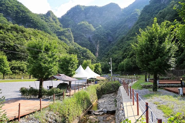 코끼리마을 캠핑장 · GoCamping 제공