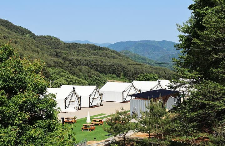 원대리751 글램핑 캠핑장 · GoCamping 제공