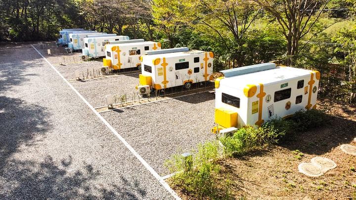 성수산 왕의숲 국민여가캠핑장 캠핑장 · GoCamping 제공
