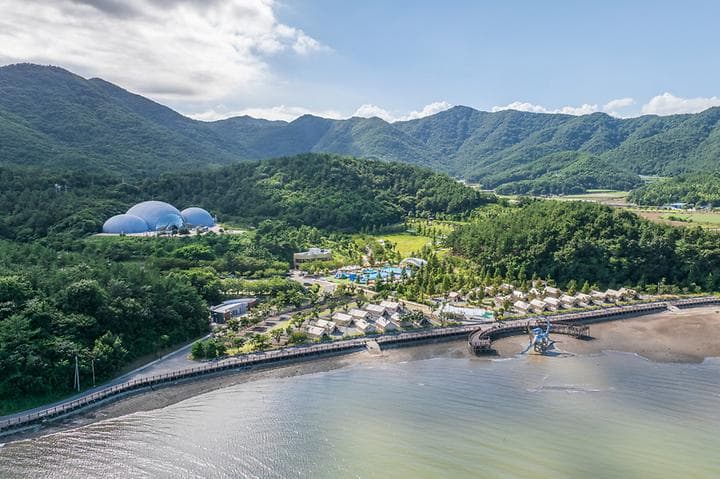 디노글램핑 캠핑장 · GoCamping 제공