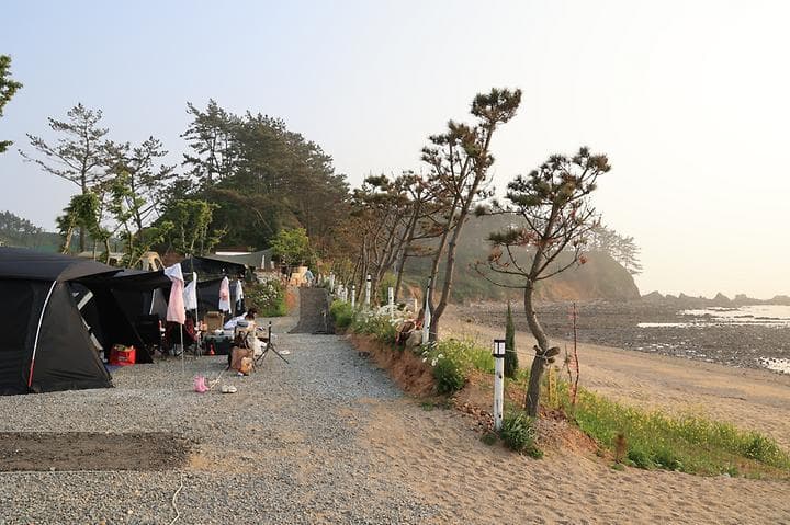 파도와노을캠핑장 캠핑장 · GoCamping 제공