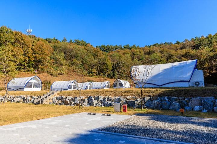 보은국민여가캠핑장 캠핑장 · GoCamping 제공
