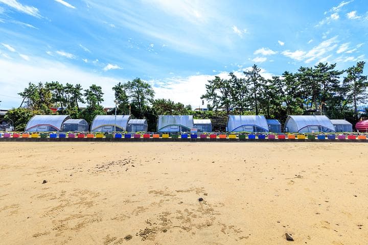 돌머리 해변 글램핑 야영장 캠핑장 · GoCamping 제공