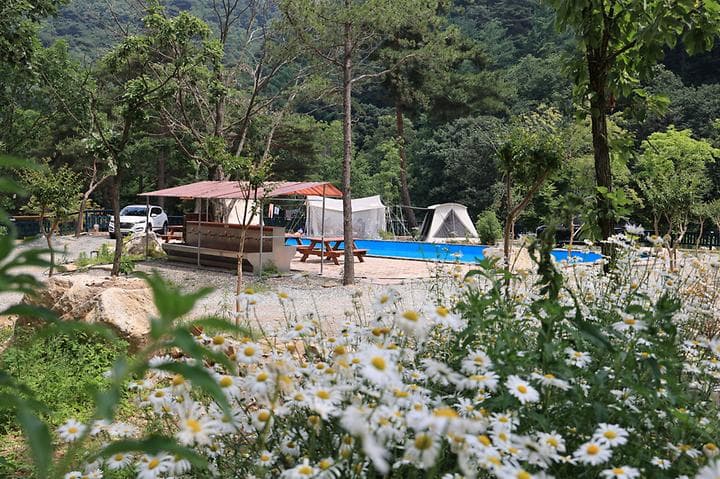 팜스프링 야영장 캠핑장 · GoCamping 제공