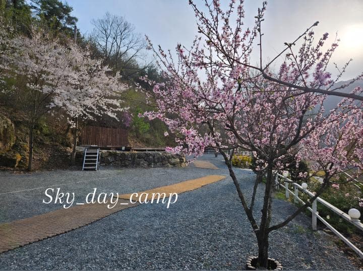 하늘하루자연관광농원 캠핑장 · GoCamping 제공
