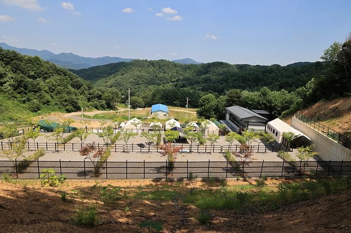 숲속에햇살캠핑장 캠핑장 · GoCamping 제공
