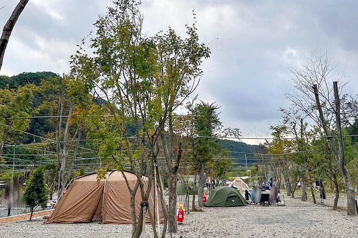 옥화 포시즌캠핑장 캠핑장 · GoCamping 제공