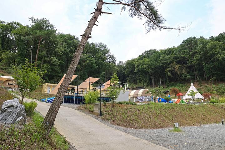 푸르른 캠핑장 캠핑장 · GoCamping 제공