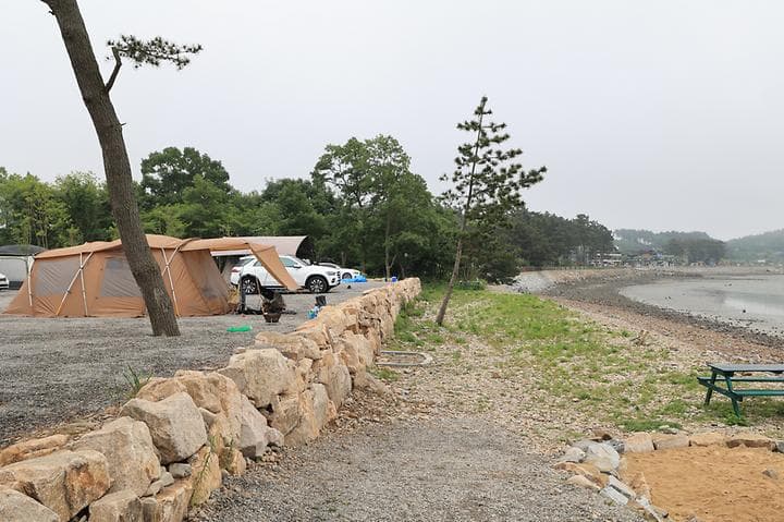 태안머드오토캠핑 캠핑장 · GoCamping 제공