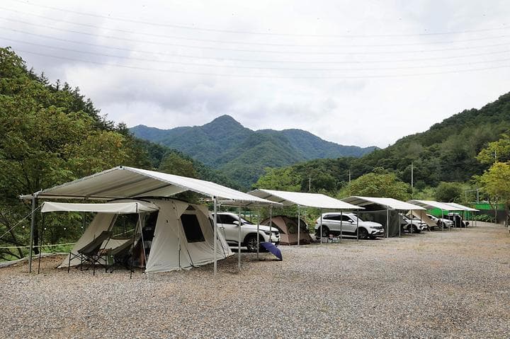 횡성 태기산 별밤 캠핑장 캠핑장 · GoCamping 제공