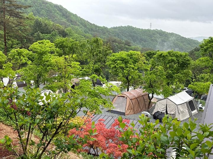 소구니캠핑장 캠핑장 · GoCamping 제공