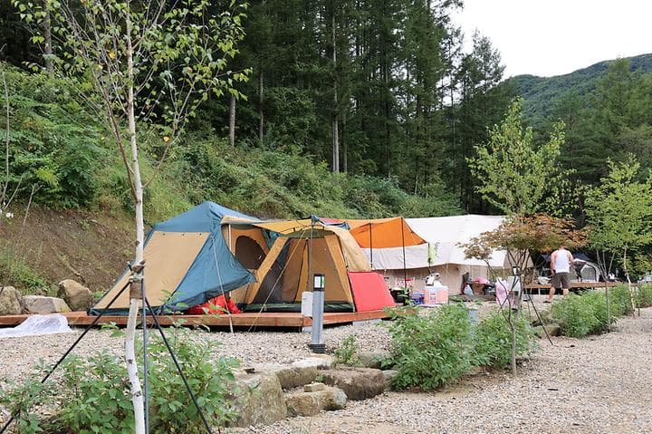 평창바샘캠핑장 캠핑장 · GoCamping 제공