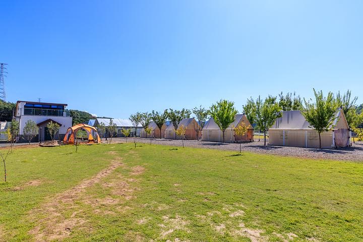 달문관광 농원 캠핑장 · GoCamping 제공