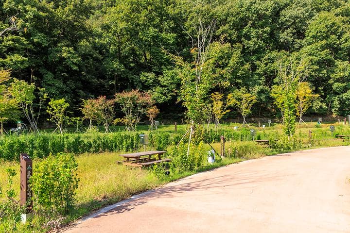 송림 힐링캠핑장 캠핑장 · GoCamping 제공