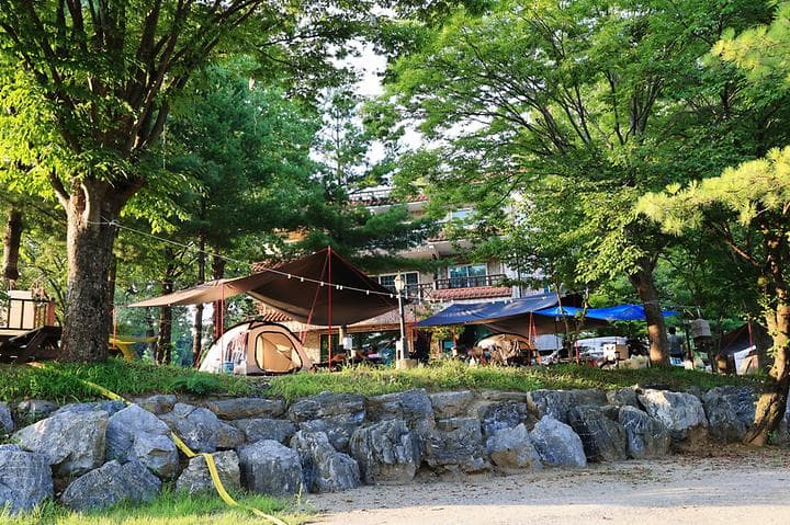 당마루관광농원캠핑장 캠핑장 · GoCamping 제공