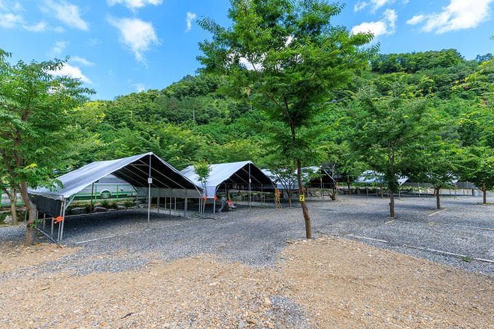 육백캠핑장 캠핑장 · GoCamping 제공